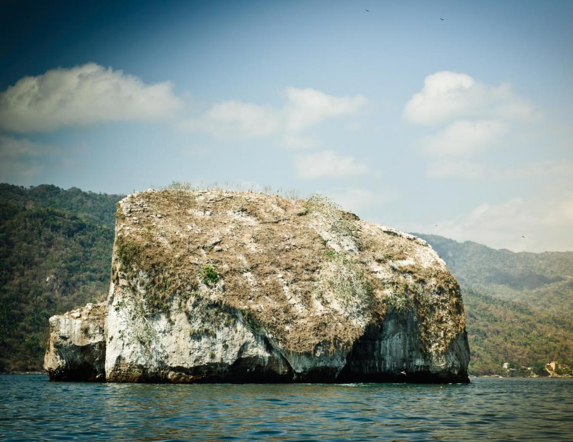 Joint Boutique Hotel Zona Romantica Puerto Vallarta Ngoại thất bức ảnh